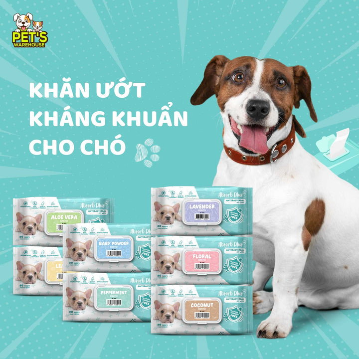 Khăn Ướt Kháng Khuẩn Absorb Plus Antibacterial Pet Wipes Cho Chó, Gói 80 Tờ
