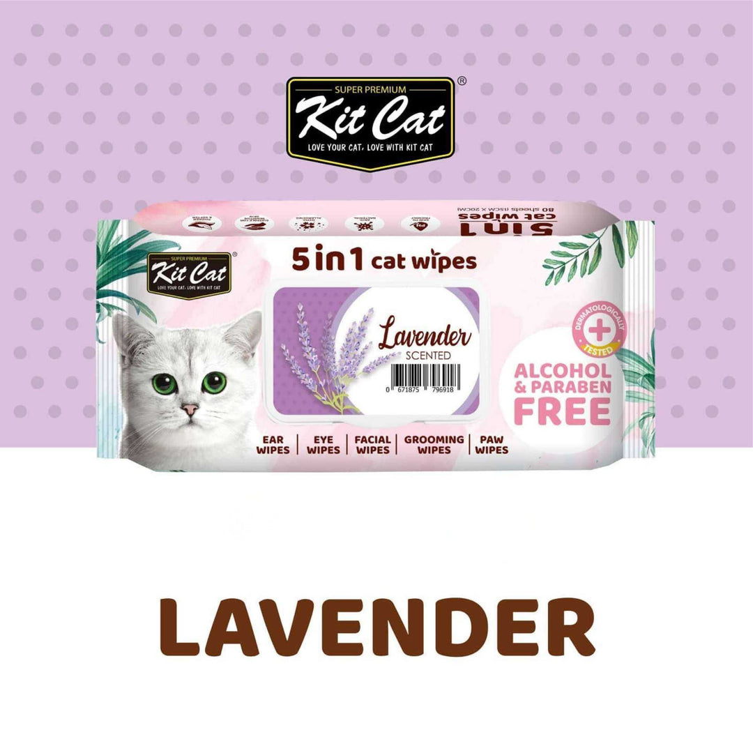 Khăn Ướt Kit Cat Kháng Khuẩn Cho Mèo, Gói 80 Tờ, Nhiều Hương