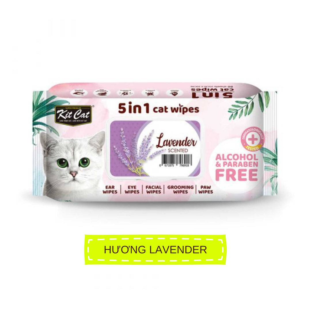 Khăn Ướt Kit Cat Kháng Khuẩn Cho Mèo, Gói 80 Tờ, Nhiều Hương