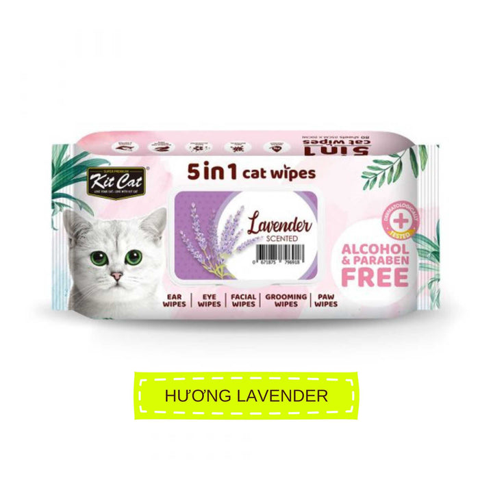 Khăn Ướt Kit Cat Kháng Khuẩn Cho Mèo, Gói 80 Tờ, Nhiều Hương