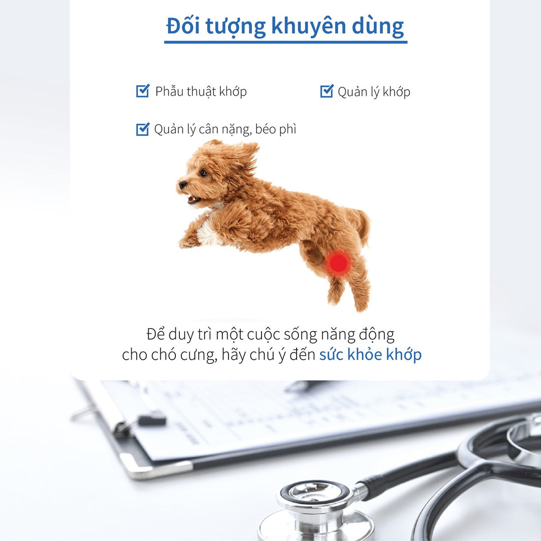 Hạt Cho Chó DR. HEALMEDIX MOBILITY (D/M) - HỖ TRỢ XƯƠNG KHỚP , Túi 1.5Kg