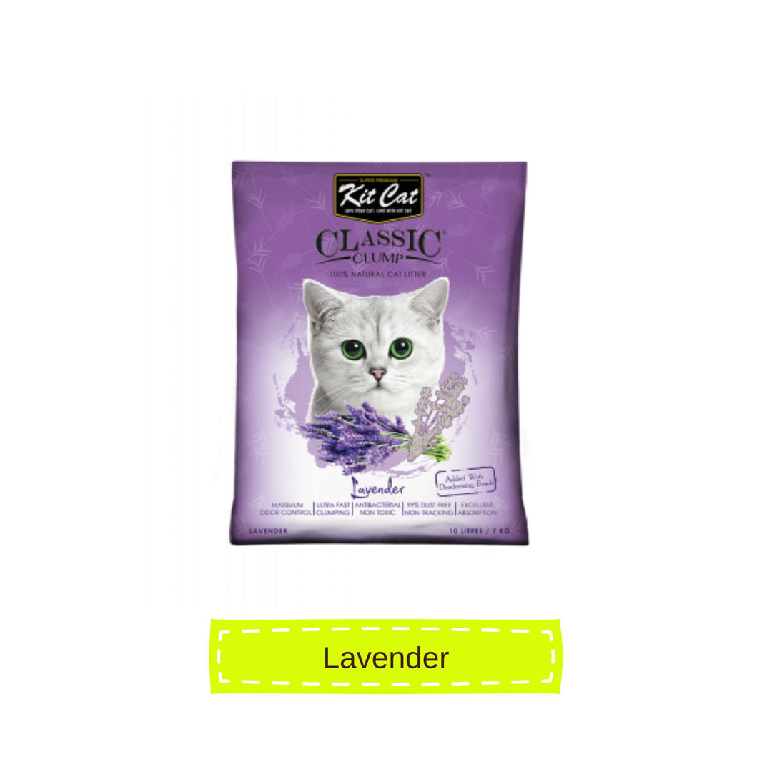 [10L] Cát Đất Sét Kit Cat Mèo