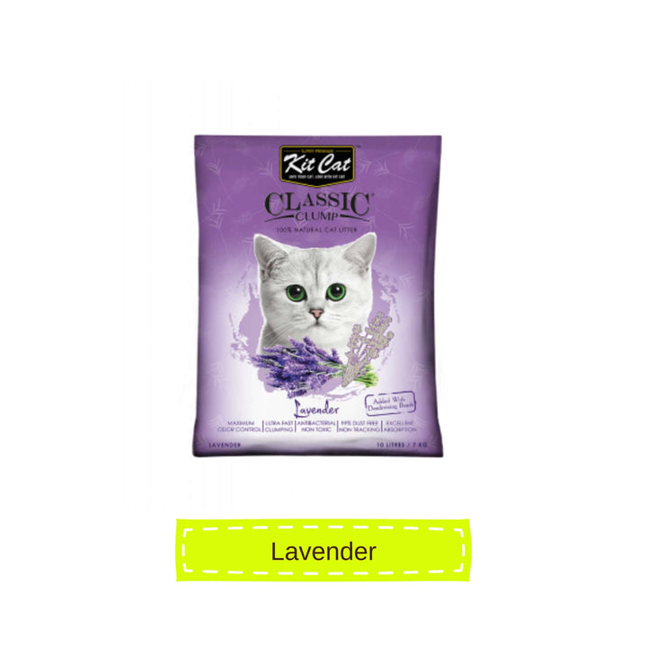 [10L] Cát Đất Sét Kit Cat Mèo