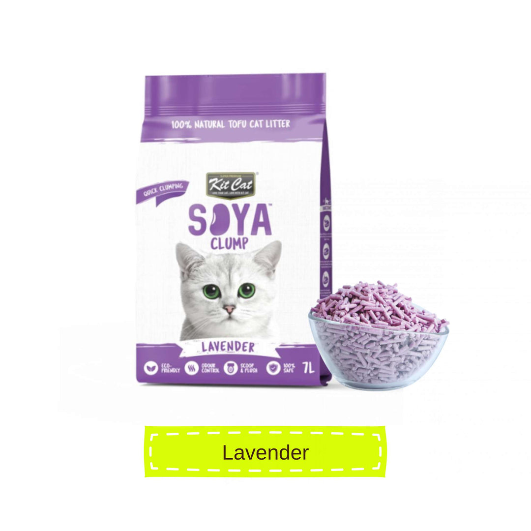 [7L] Cát Đậu Nành Kit Cat Mèo | Pet's Warehouse