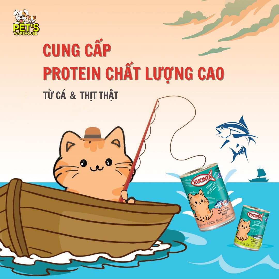 Pate Kucinta Cho Mèo Lon 400g, Thịt Cá & Hải Sản Thật, Nhiều Vị