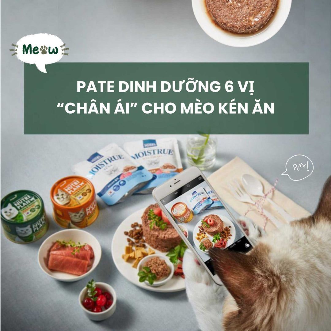 Pate Cho Mèo Nutri Plan Cá Ngừ Mix,Mèo Trưởng Thành, Lon 160g