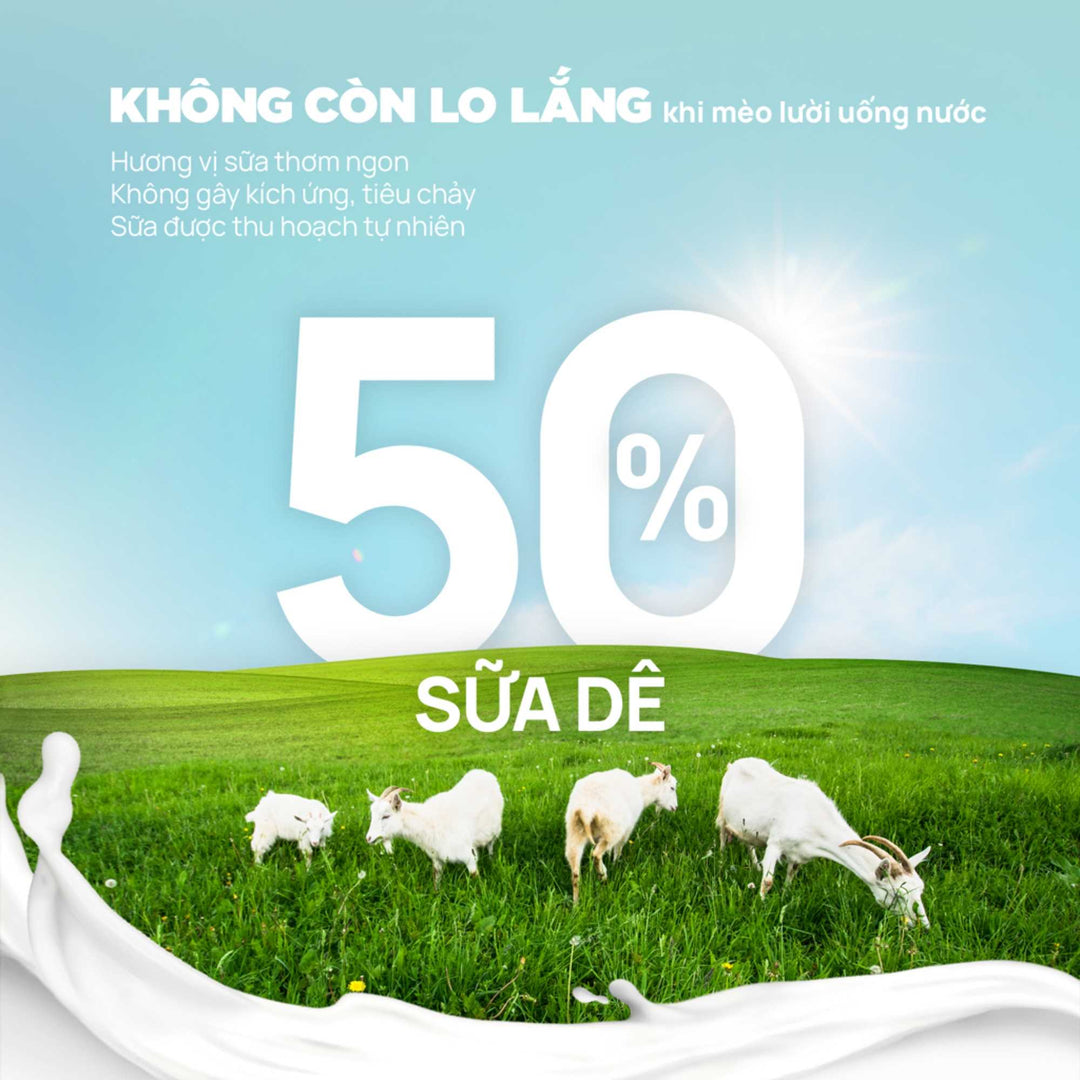 Pate Sữa Dê PetQ Cho Mèo Mọi Lứa Tuổi, Nhiều Vị, 70g
