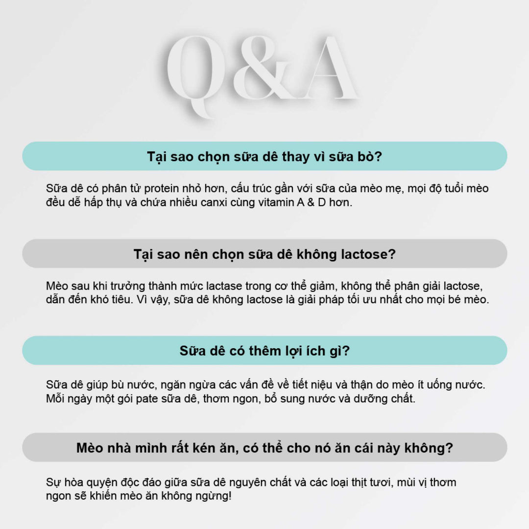 Pate Sữa Dê PetQ Cho Mèo Mọi Lứa Tuổi, Nhiều Vị, 70g