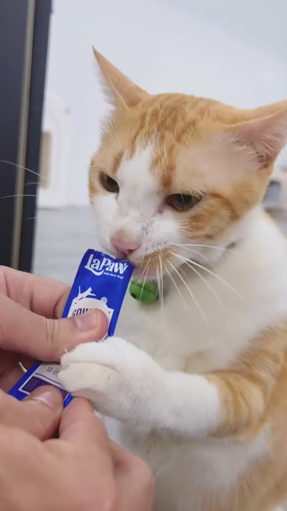 [Combo 5 - 10 - 15 Tuýp] Súp Thưởng LaPaw Gourmet Cho Mèo Mọi Lứa Tuổi, Tuýp 12g