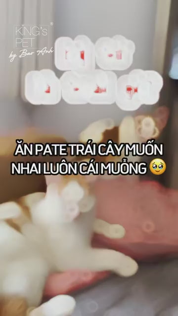 [Combo 4 lon] Pate King's Pet Chó Mèo Mọi Lứa Tuổi 380G