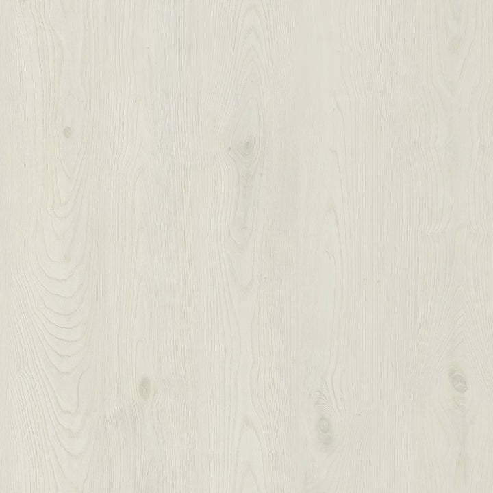 [Combo 24 hộp] Pate cho chó Monge nhiều vị, nhập khẩu từ Ý, 100g