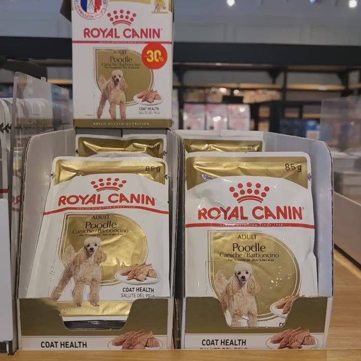 [Combo 3 - 12 Gói] Pate Royal Canin Cho Chó, Gói 85g