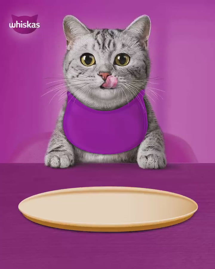 [Combo 14–28 gói] Pate Whiskas Mèo Trưởng Thành Gói 80G