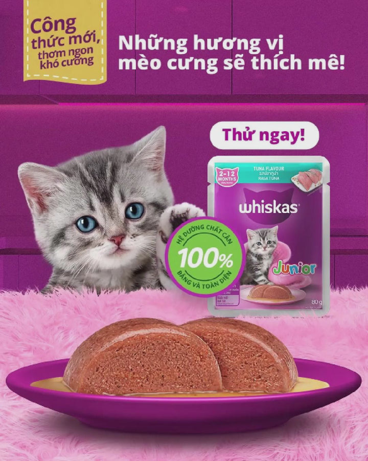 [Combo of 14 packs] Whiskas Kitten Pate, 80g Pack, Assorted Flavors