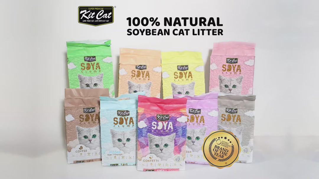 [7L] Cát Đậu Nành Kit Cat Mèo | Pet's Warehouse