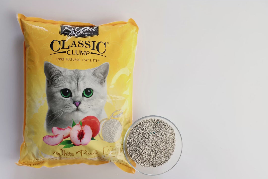 [10L] Cát Đất Sét Kit Cat Mèo