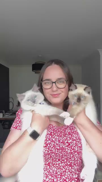 Lược gỡ rối lông Tangle Teezer cho chó mèo, nhiều màu