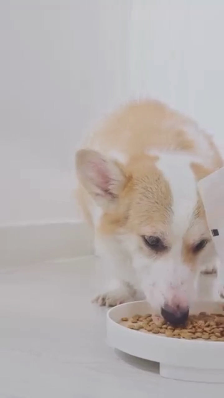 [2KG - 2.4KG] Hạt Hữu Cơ Natural Core Chó Mọi Lứa Tuổi