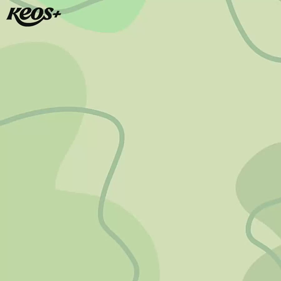 [1.5KG] Hạt Keos Chó Mọi Lứa Tuổi