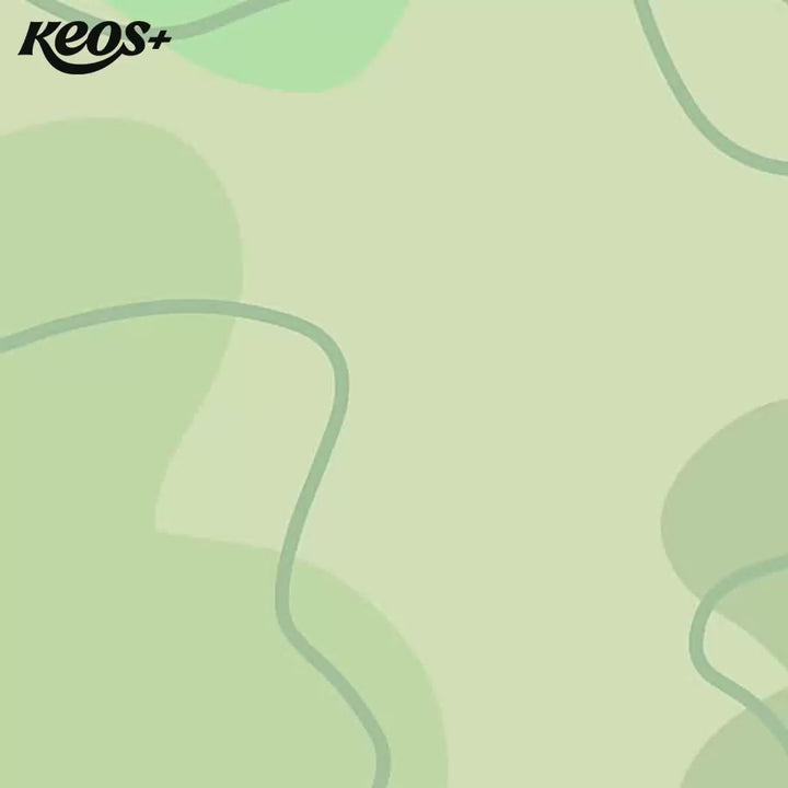 [1.5KG] Hạt Keos Chó Mọi Lứa Tuổi