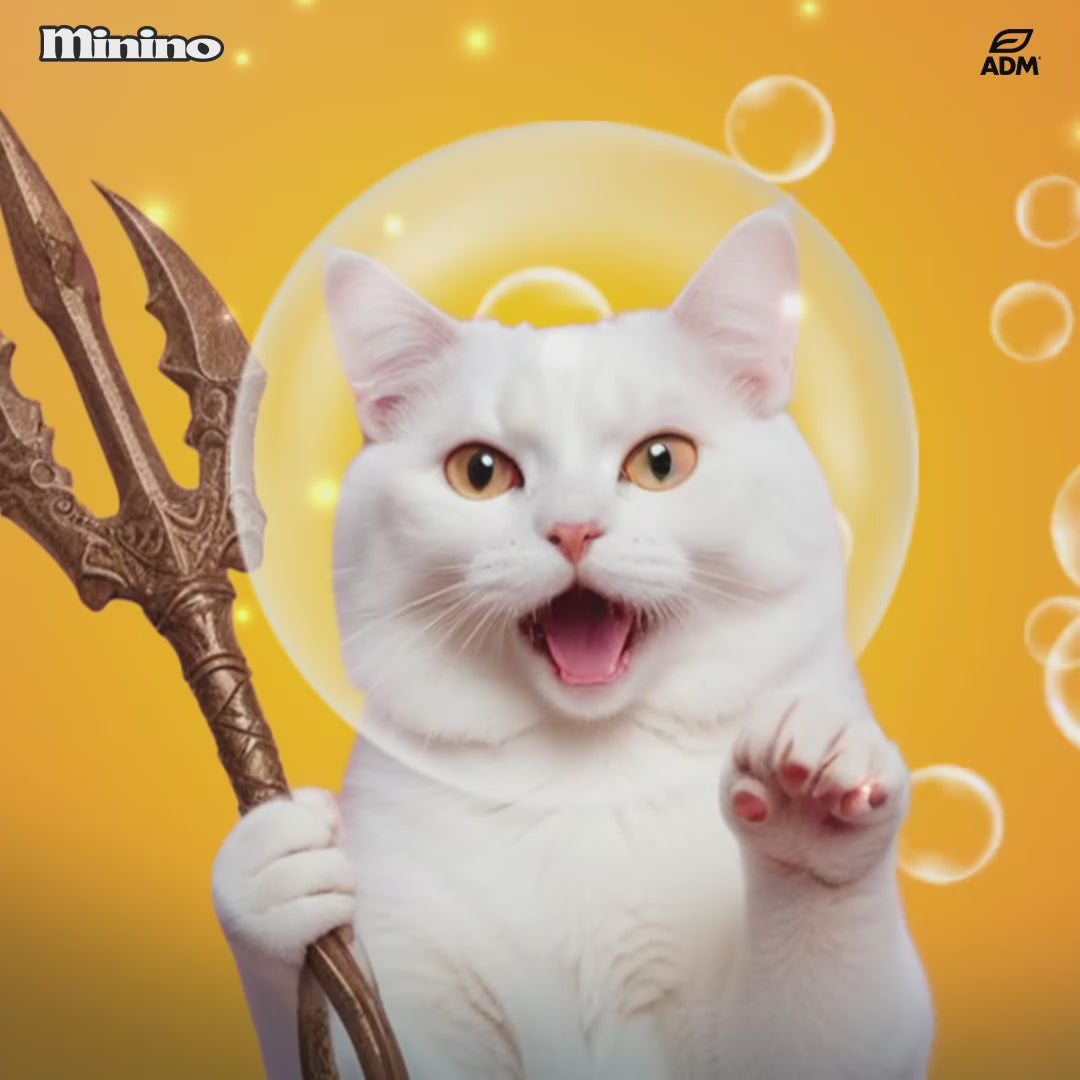 [350G - 1.5KG] Hạt Minino Yum Mèo Mọi Lứa Tuổi | Pet's Warehouse