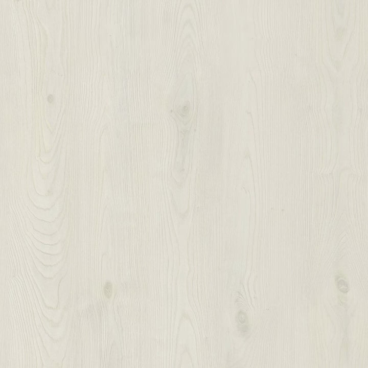 [Combo 24 hộp] Pate cho chó Monge nhiều vị, nhập khẩu từ Ý, 100g