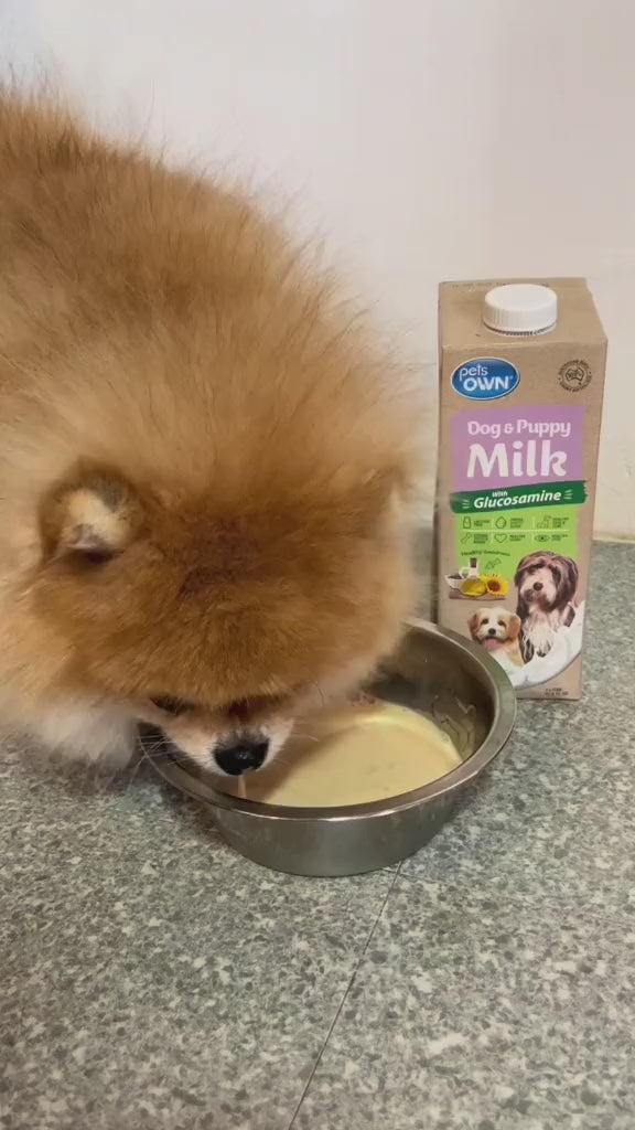 Sữa cho chó mèo Pets Own, nhập khẩu Úc, bổ sung Glucosamine, 1L