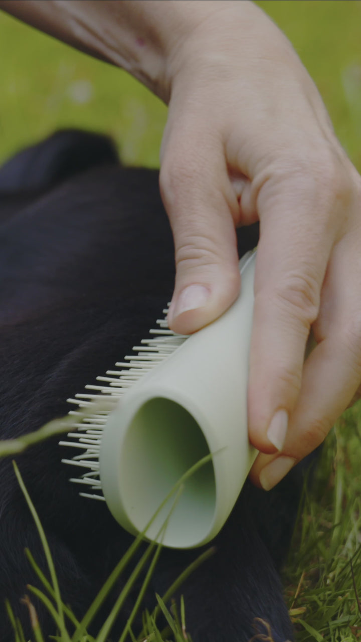 Lược gỡ rối Tangle Teezer Puppy Brush- Green, Chải lông nhẹ nhàng, êm ái