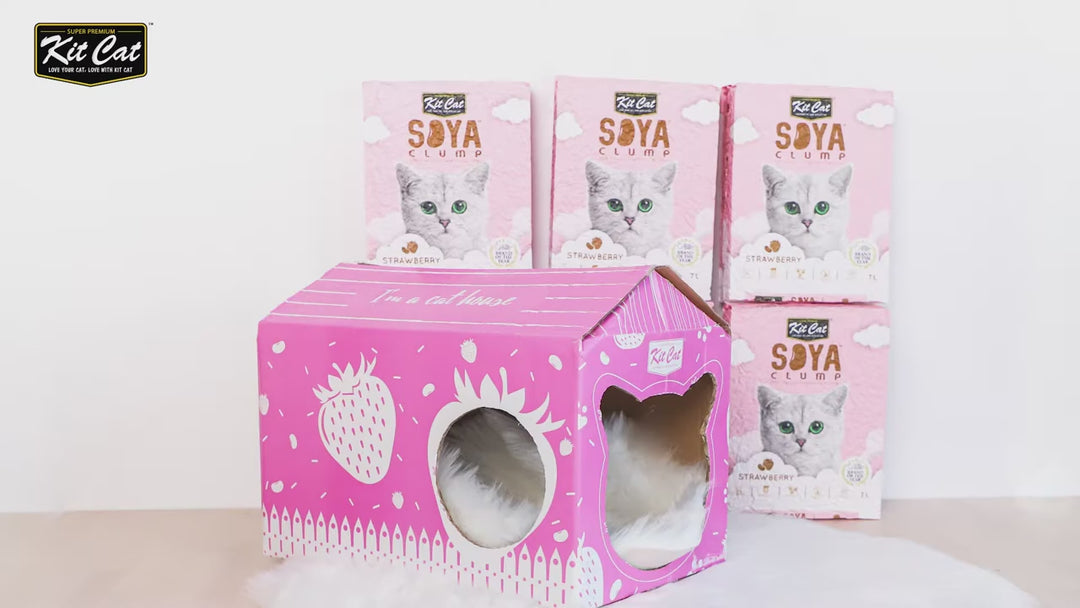 [7L] Cát Đậu Nành Kit Cat Mèo | Pet's Warehouse