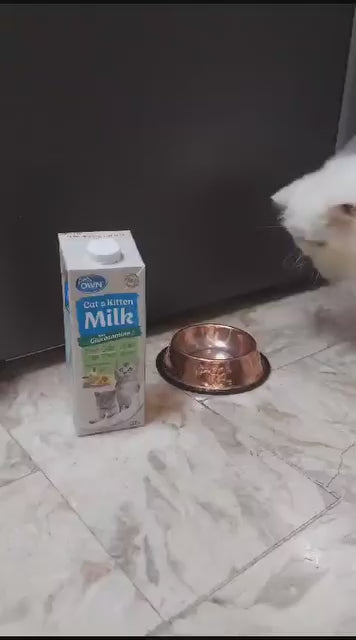 Sữa cho chó mèo Pets Own, nhập khẩu Úc, bổ sung Glucosamine, 1L