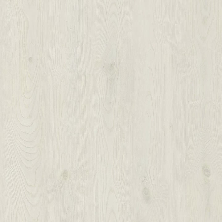 [Combo 24 hộp] Pate cho chó Monge nhiều vị, nhập khẩu từ Ý, 100g