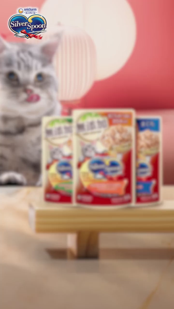 Pate Mèo Silver Spoon Dạng Sốt/Dạng Thạch/Vị Tự Nhiên Đặc Biệt, Gói 60g