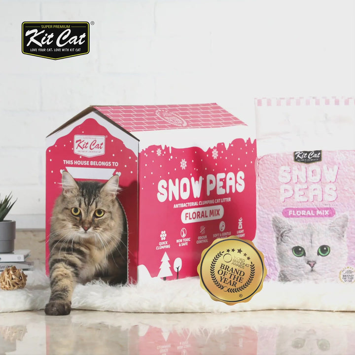 [7L] Cát Đậu Tuyết Snow Peas Kit Cat Mèo