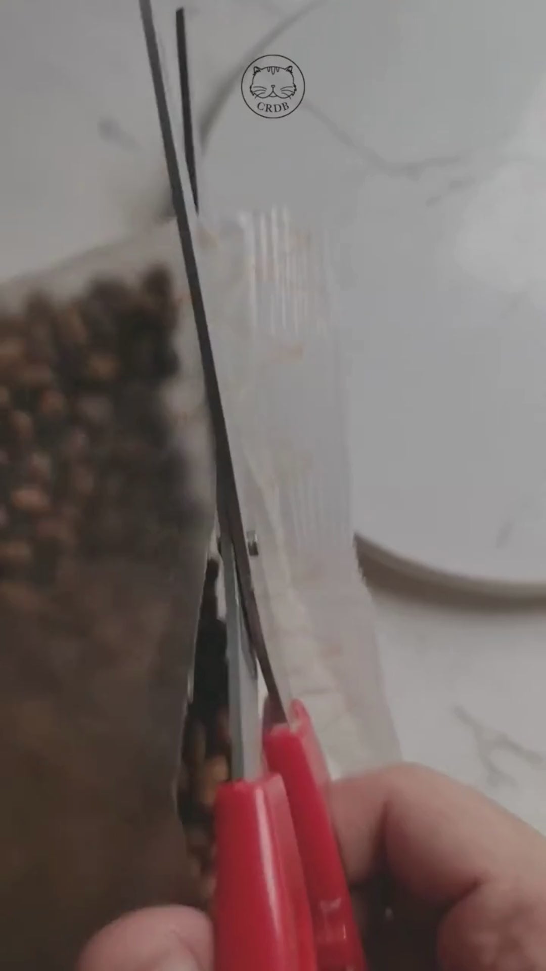 [400G - 2KG] Hạt Hữu Cơ Natural Core Mèo Con