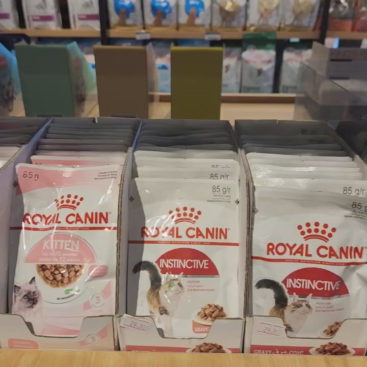 [Combo 3 - 12 Gói] Pate Mèo Con Royal Canin Kitten, Gói 85g