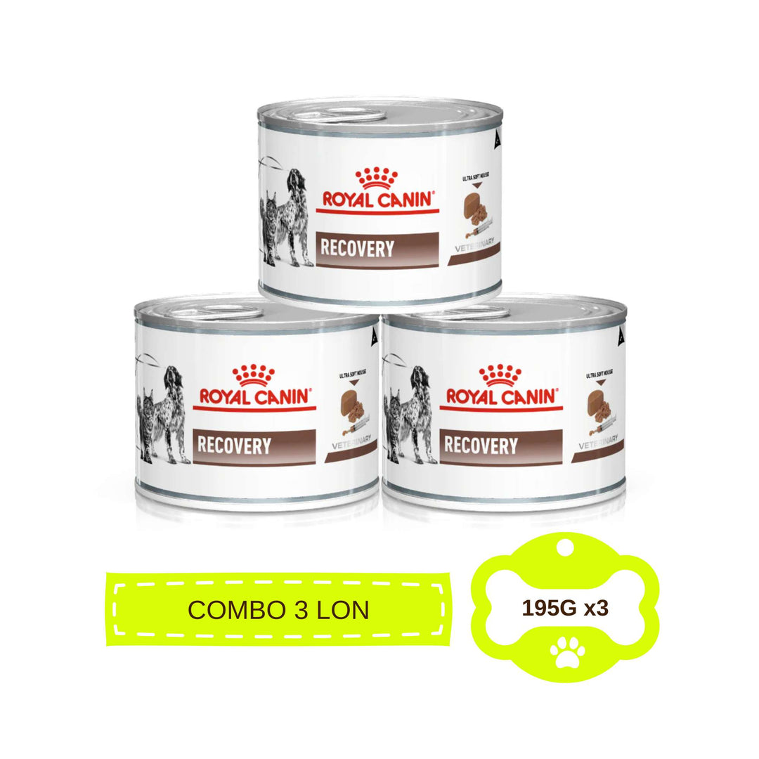Pate Royal Canin Recovery Cho Chó Mèo, Lon 195g