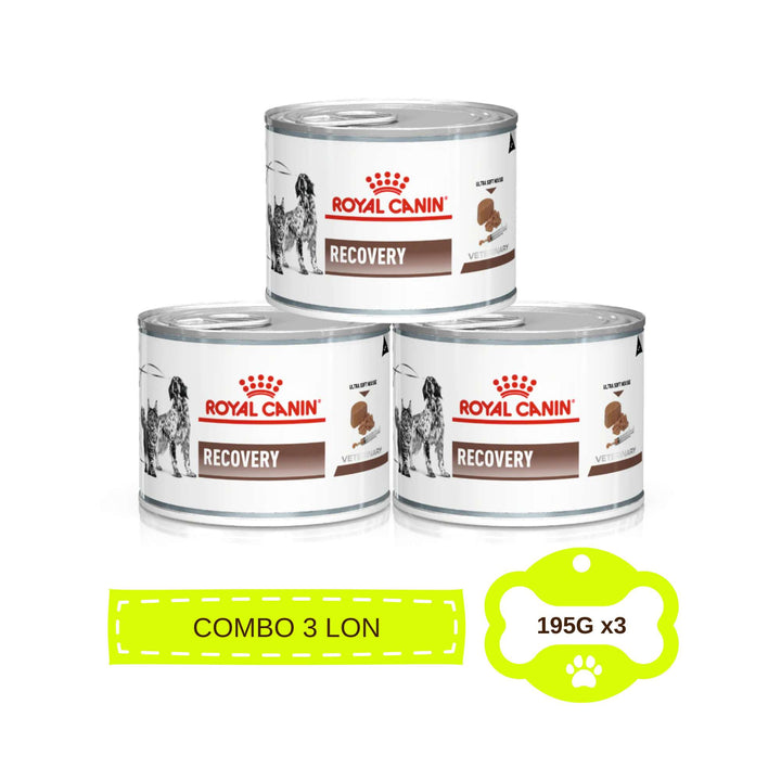 Pate Royal Canin Recovery Cho Chó Mèo, Lon 195g