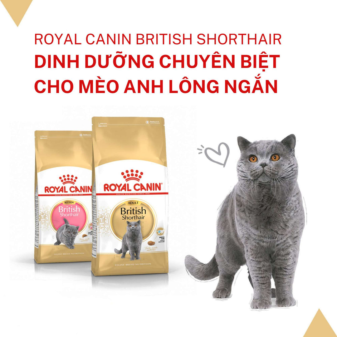 Hạt Cho Mèo Anh Lông Ngắn Royal Canin British Shorthair, Túi 2Kg