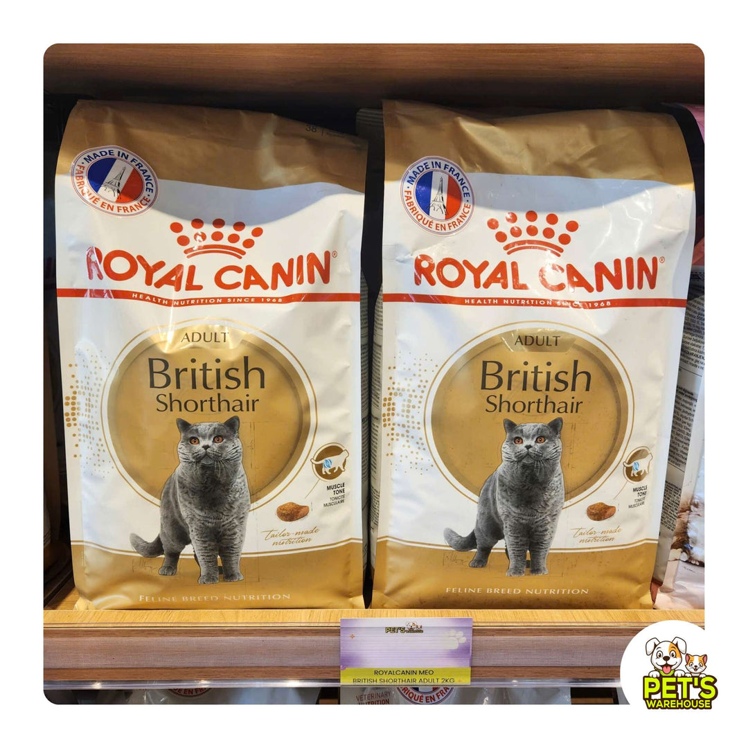 Hạt Cho Mèo Anh Lông Ngắn Royal Canin British Shorthair, Túi 2Kg