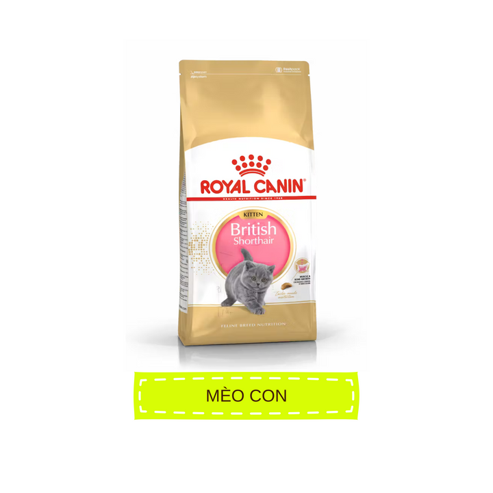 Hạt Cho Mèo Anh Lông Ngắn Royal Canin British Shorthair, Túi 2Kg