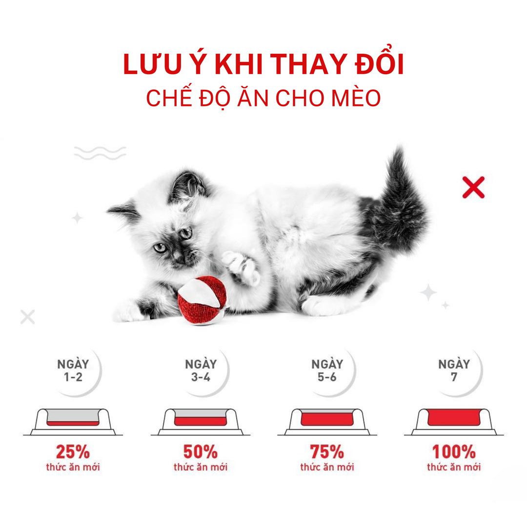 Hạt Royal Canin Gastrointestinal Hỗ Trợ Tiêu Hóa Cho Mèo Con & Mèo Trưởng Thành, Túi 2Kg