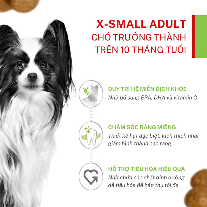 Hạt Cho Chó Giống Siêu Nhỏ Royal Canin X-Small, Túi 1.5Kg