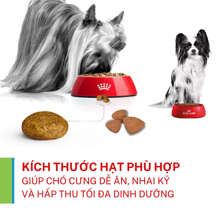 Hạt Cho Chó Giống Siêu Nhỏ Royal Canin X-Small, Túi 1.5Kg
