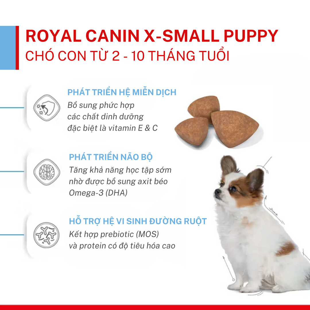 Hạt Cho Chó Giống Siêu Nhỏ Royal Canin X-Small, Túi 1.5Kg