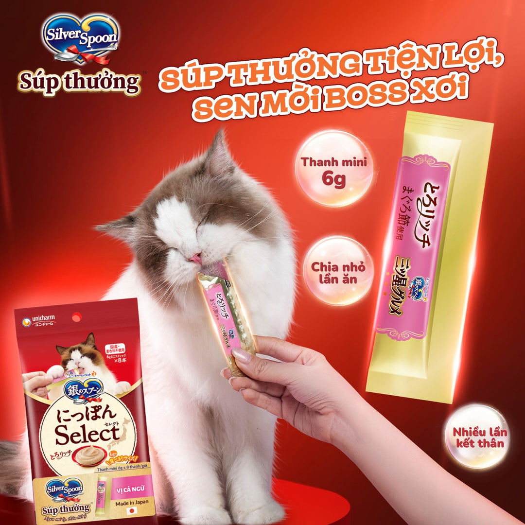 Súp Thưởng Mèo Silver Spoon, Dạng Thanh, Nhiều Vị, Gói 8 Thanh x 6g
