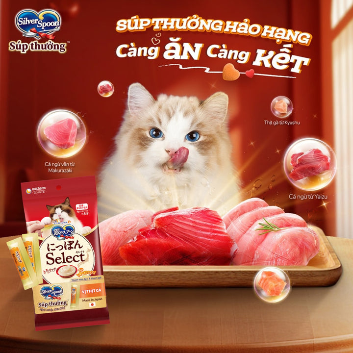 Súp Thưởng Mèo Silver Spoon, Dạng Thanh, Nhiều Vị, Gói 8 Thanh x 6g