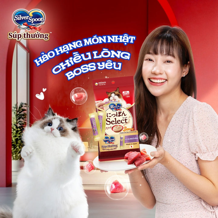 Súp Thưởng Mèo Silver Spoon, Dạng Thanh, Nhiều Vị, Gói 8 Thanh x 6g