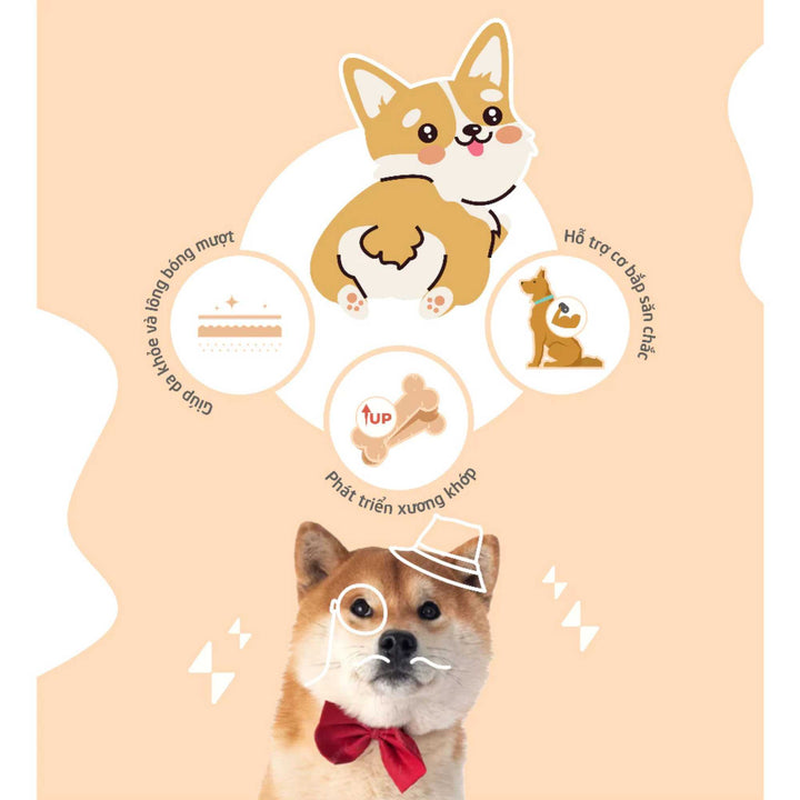 Snack Natural Core Thịt Gà / Vịt Sấy Cứng & Sấy Mềm Cho Chó, 180g