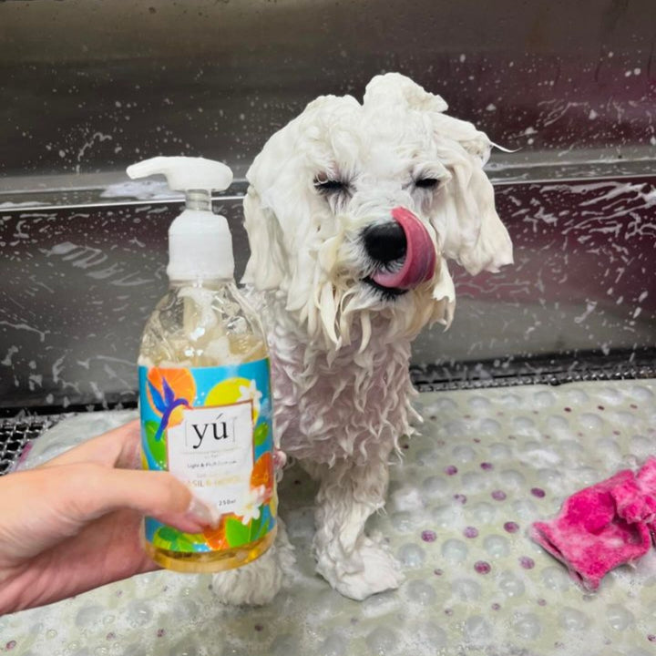 [250ml - 400ml] Sữa Tắm Yú Siêu Thơm Cho Chó Mèo, Thảo Dược Thiên Nhiên Dịu Nhẹ, Đủ Mùi Hương