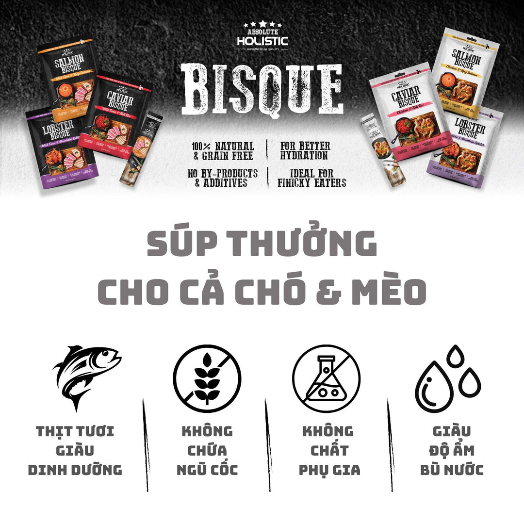 Súp Thưởng Cho Chó Mèo Absolute Holistic Bisque, 60g (Túi 5 Tuýp)